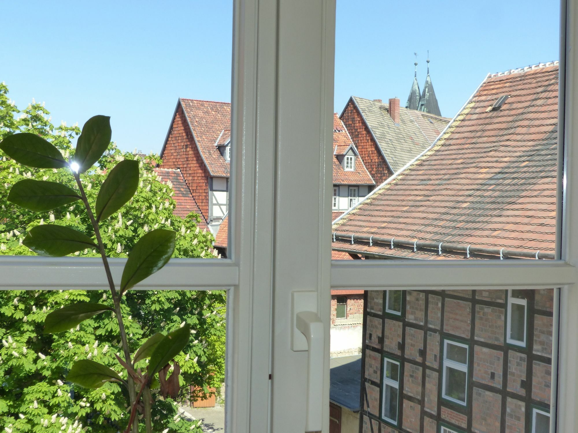 Hotel Zum Brauhaus Quedlinburg Zewnętrze zdjęcie