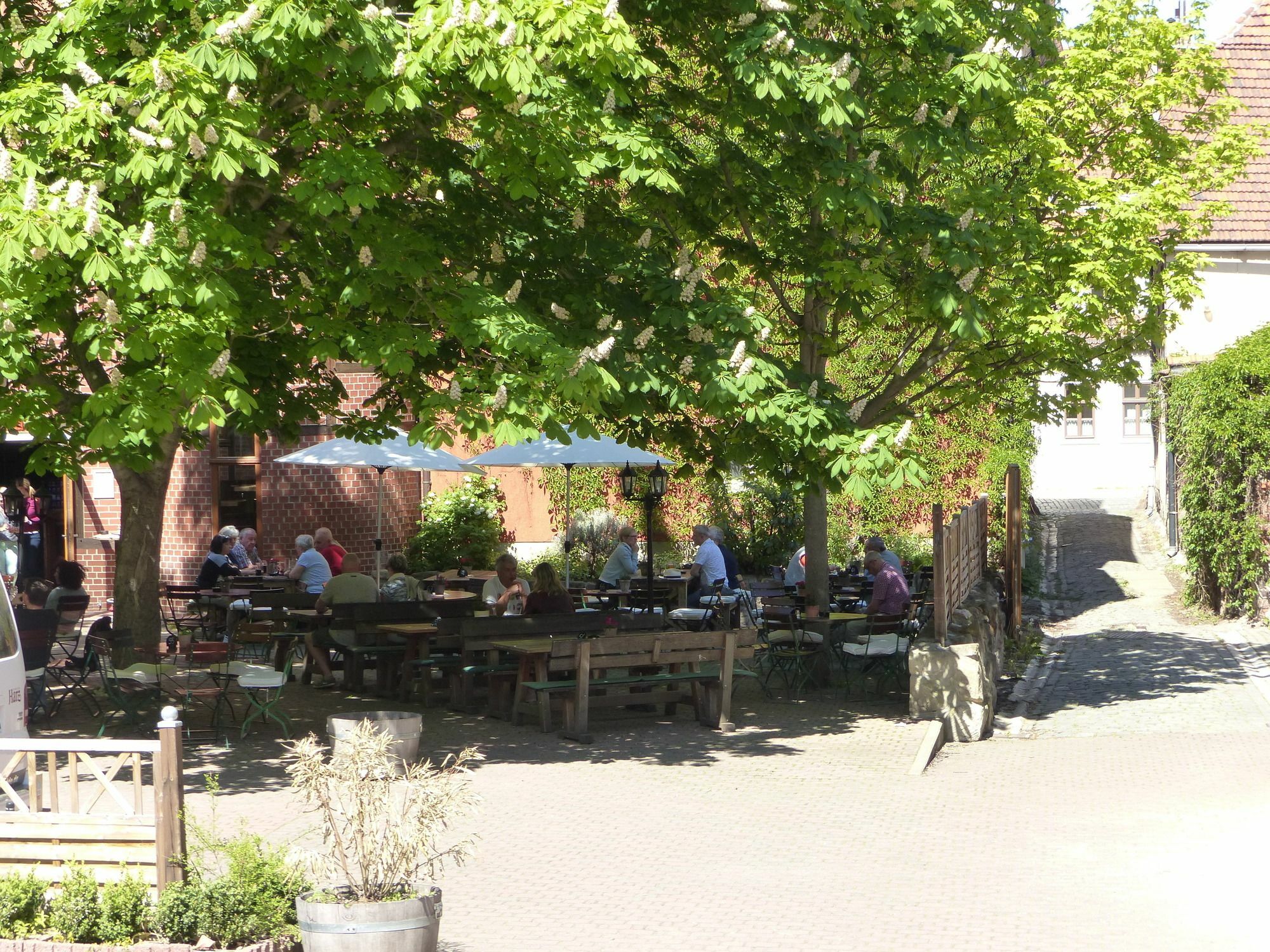 Hotel Zum Brauhaus Quedlinburg Zewnętrze zdjęcie